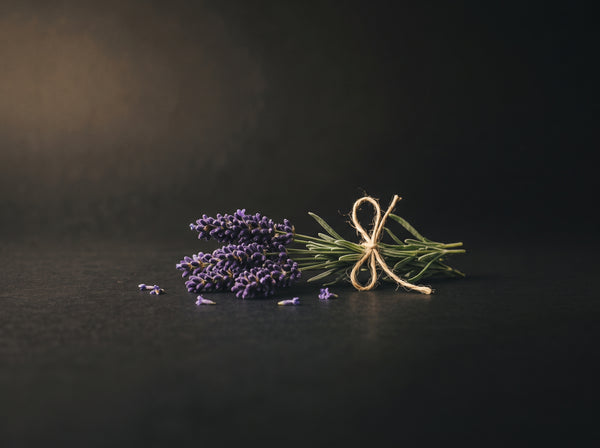 Lavendel