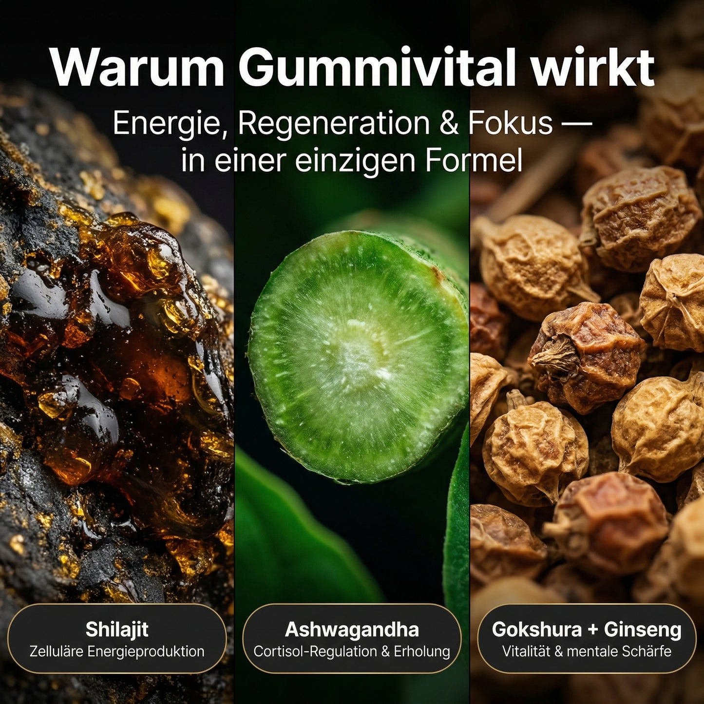 Gummivital™ Shilajit Gummies Hol dir zurück, was dich früher stark gemacht hat.