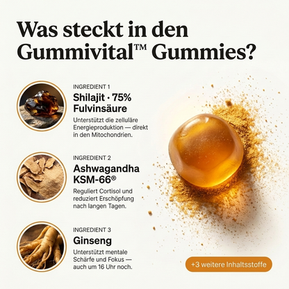 Gummivital™ Shilajit Gummies Hol dir zurück, was dich früher stark gemacht hat.