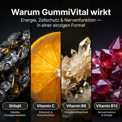 Gummivital™ Shilajit Gummies Hol dir zurück, was dich früher stark gemacht hat.