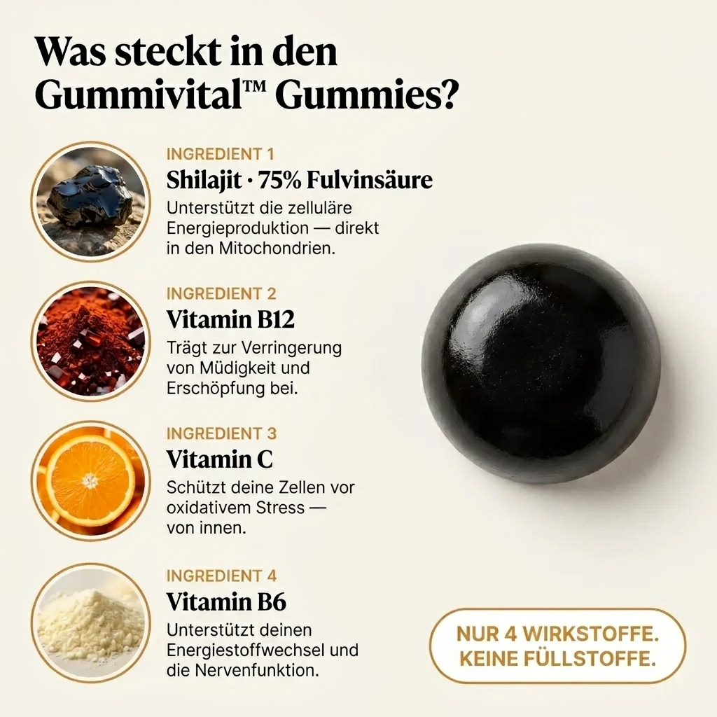 Gummivital™ Shilajit Gummies Hol dir zurück, was dich früher stark gemacht hat.